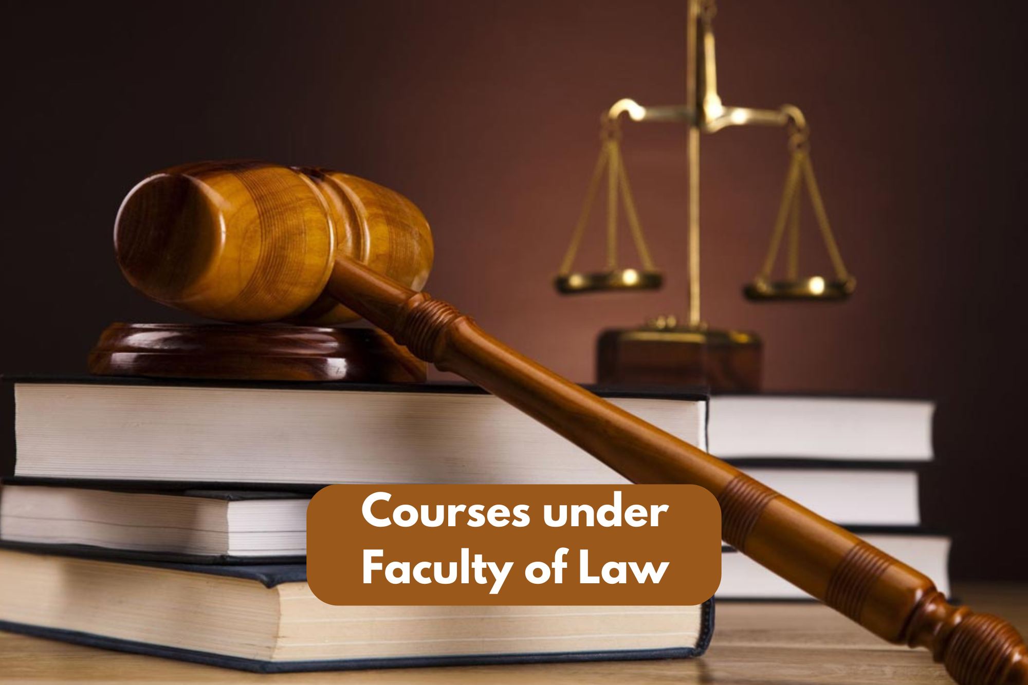 Courses under Faculty of Law